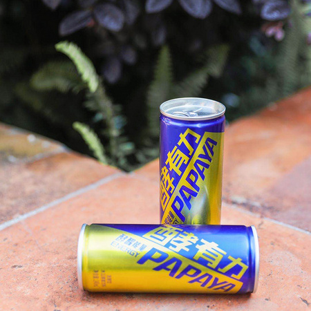 兆健 木瓜发酵饮料 240ml*2罐