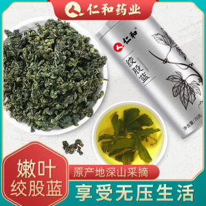 南方人参 仁和 绞股蓝茶 70g 保肝解毒降三高