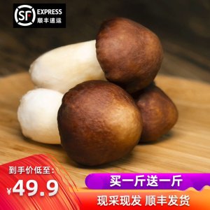豫菇芝缘 新鲜赤松茸 2斤 29.9元包顺丰