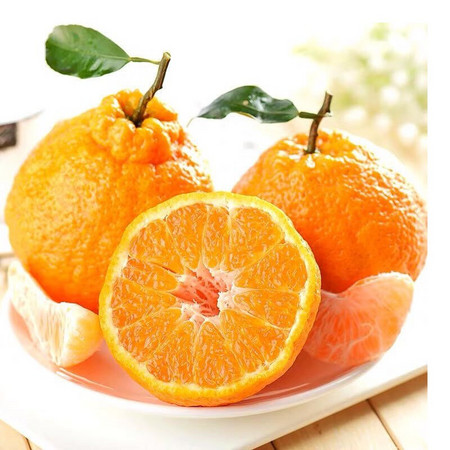 沃多鲜 丑橘不知火 带箱5斤大果（单果75mm以上）