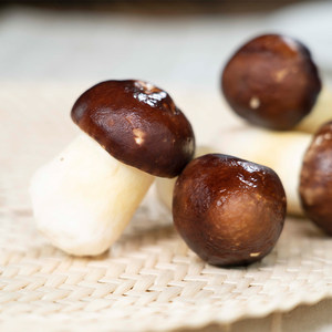 豫菇芝缘 新鲜赤松茸 2斤 25.9元包顺丰