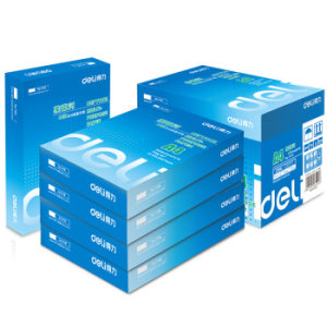 deli 得力 莱茵河 A4复印纸 80g 500张/包 5包装（2500张）