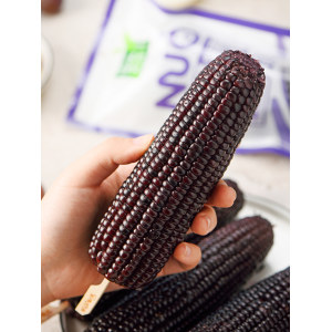 昊伟农庄 2020年新品非转基因蓝莓糯玉米棒 200g*10根 真空包装