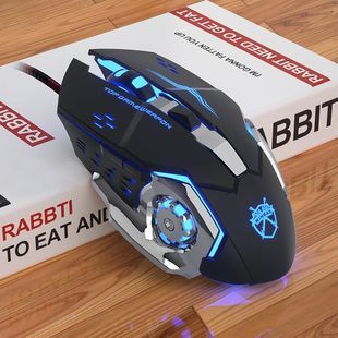 SHIWAITAOYUAN 视外桃园 VP900 有线鼠标