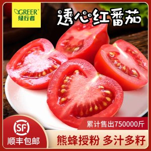 绿行者 透心红番茄 新鲜西红柿 5斤装