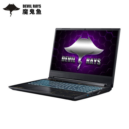 TERRANS FORCE 未来人类 DR522 15.6英寸游戏笔记本电脑（i7-11800H、16GB、1TB、RTX3060、144Hz、72%NTSC）