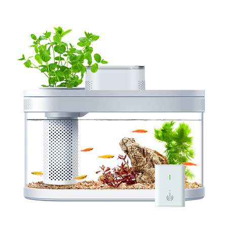 画法几何 C180 两栖生态智能鱼缸 pro版 9L