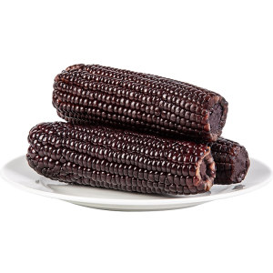 中新嘉美 东北有机甜糯黑糯玉米 10根 真空装 净含量2000g