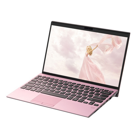 VAIO SX12 12.5英寸笔记本电脑（i5-10210U、8GB、512GB SSD）