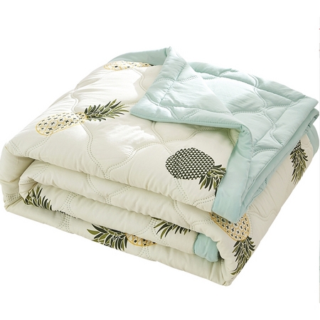 Bejirog 北极绒 水洗棉夏被 110*150cm
