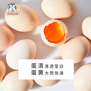 五星级酒店供应商 鸡仔总动员 当天产A级生鸡蛋 40枚 无菌无抗生素