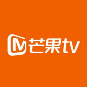 芒果TV 会员13个月 手机+电脑不含TV
